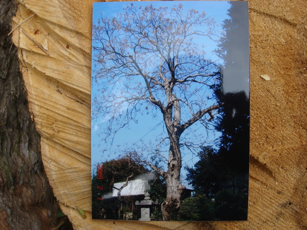 お知らせ ｜ 木風堂 Kippudo